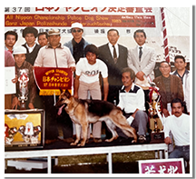 1983年日本チャンピオン決定審査会